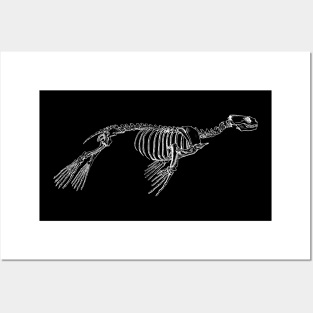 Seal Skeleton Posters and Art